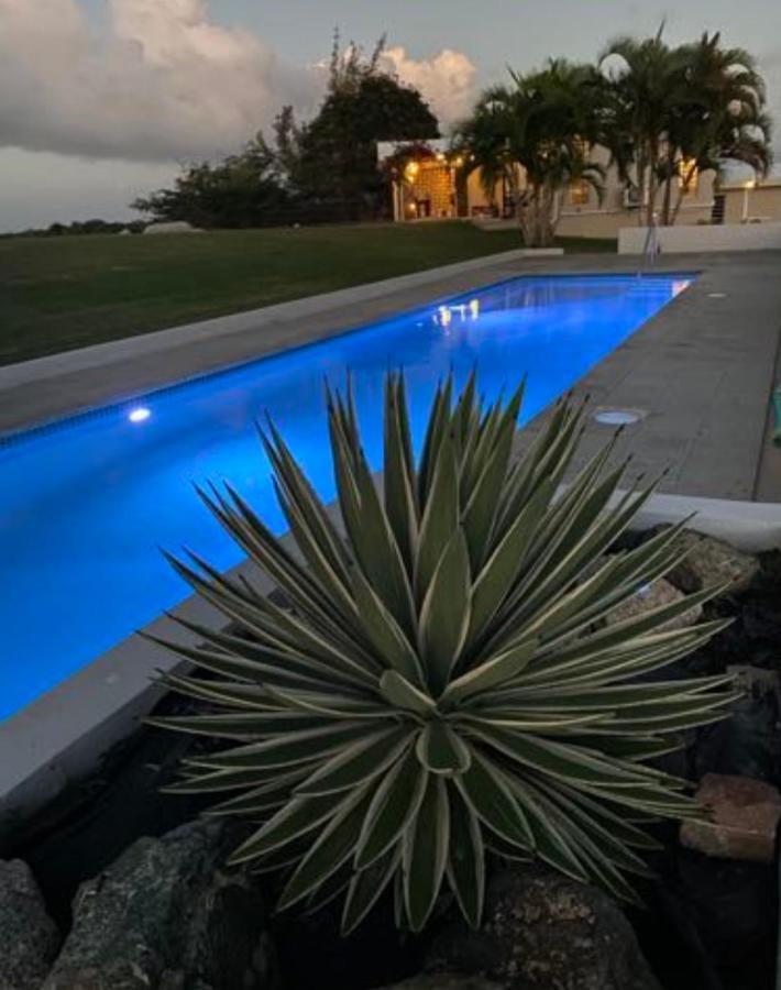 Hotel Lejos Eco Retreat Vieques Exteriér fotografie