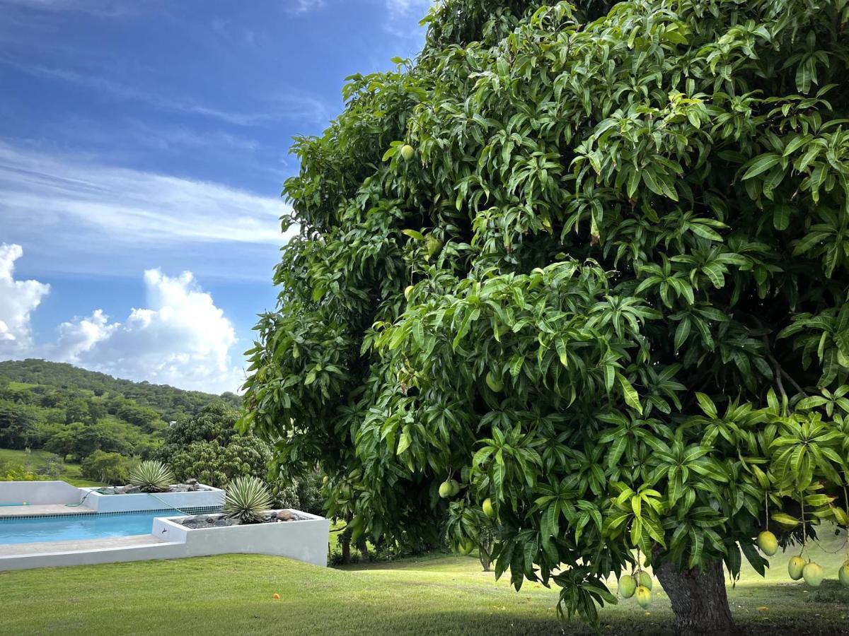 Hotel Lejos Eco Retreat Vieques Exteriér fotografie